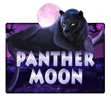 รีวิวเกมสล็อต PANTHER MOON จากค่าย slotxo