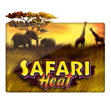 SAFARI HEAT รีวิวเกมจาก slotxo เกมยอดฮิต 2021