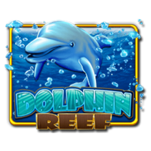 Dolphin Reef