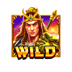 สัญลักษณ์พิเศษ wild