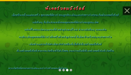 ฟีเจอร์ภายในเกม Fruit Poppers