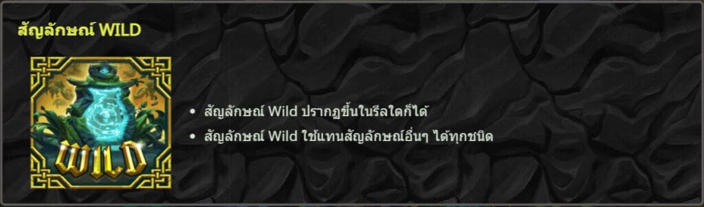 สัญลักษณ์พิเศษ